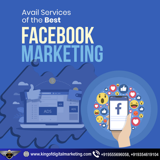 Facebook Marketing Services in Delhi